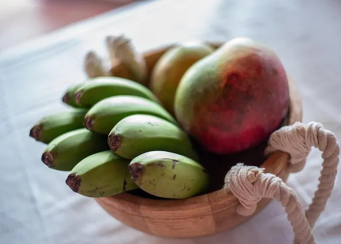 Appartamento La Barbacoa Familiar De Gardel